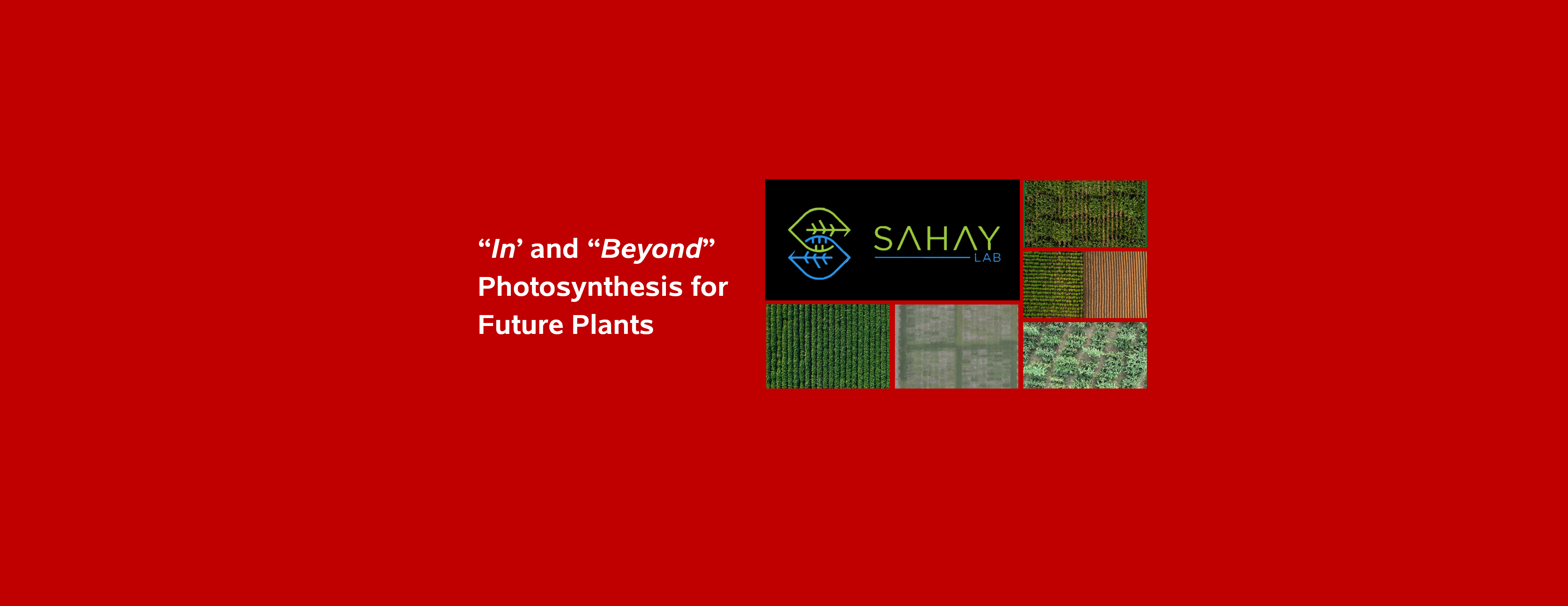 SahayLab
