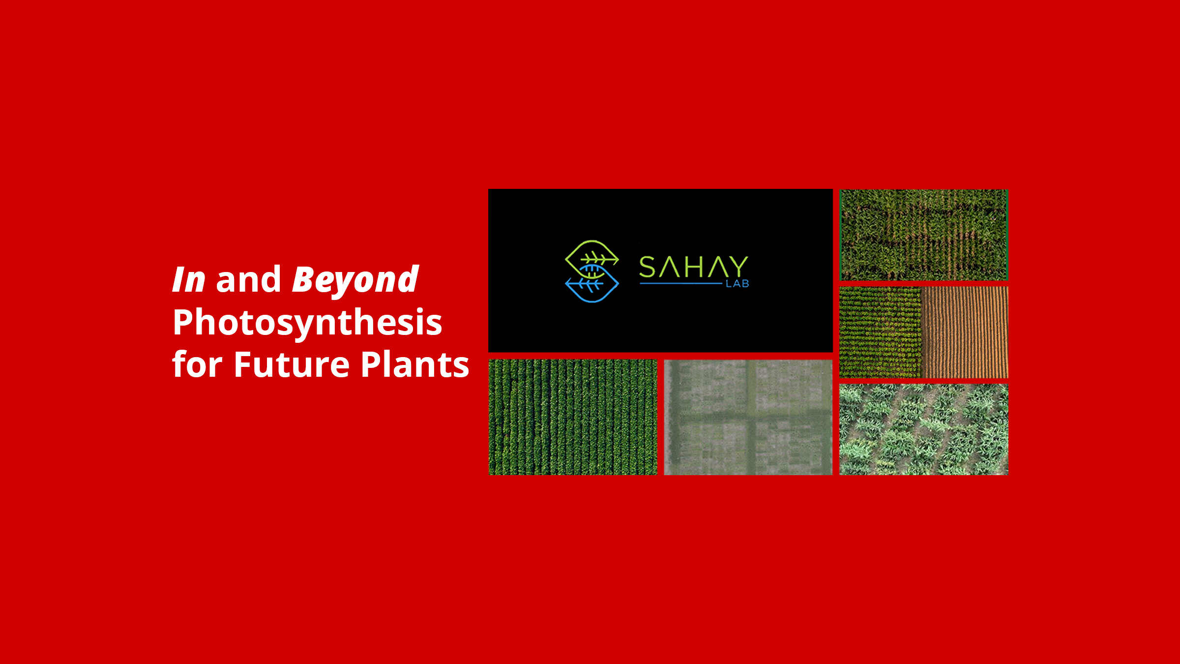 The Sahay Lab – In and Beyond Photosynthesis for Future Plants