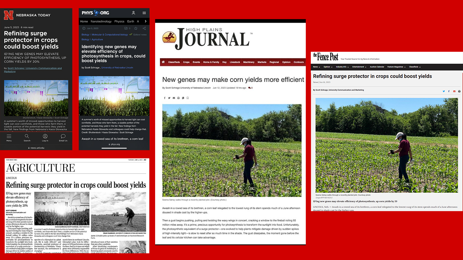 Sahay lab in the news headline collage